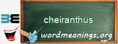 WordMeaning blackboard for cheiranthus